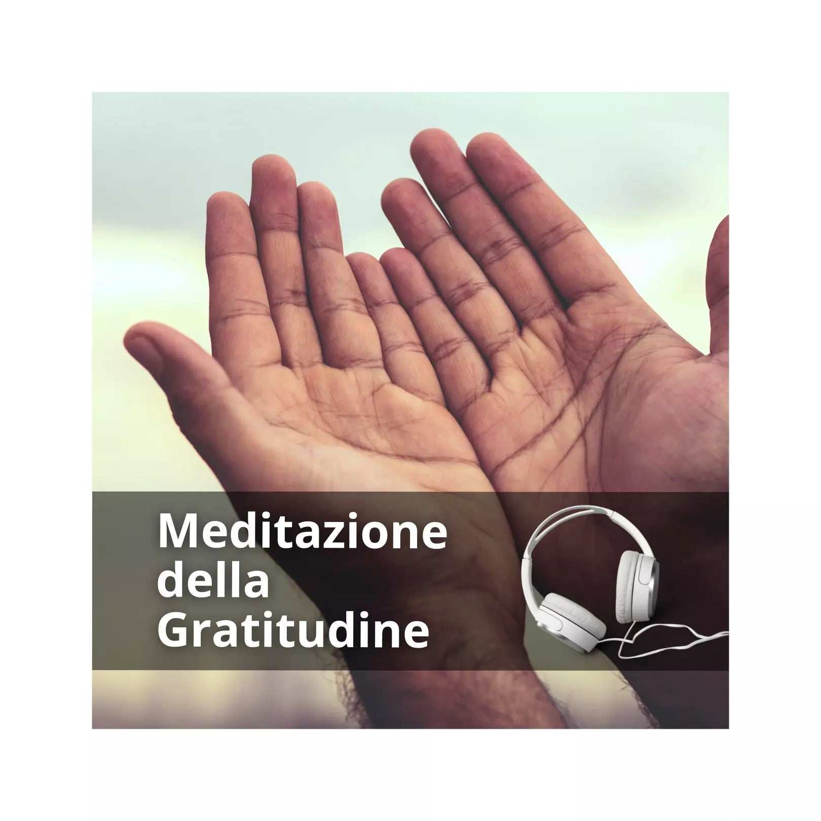 Meditazione della Gratitudine